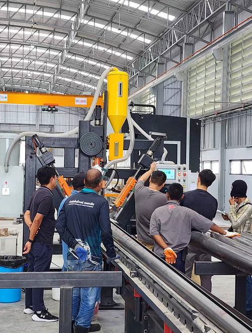 Laatste bedrijfscasus over Volledig 14M lichtpool lijn in Thailand (Saengsuriya Industry)