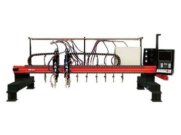 CNC van de hoge snelheids multi-Hoofd Verticale Strook Plasmasnijmachine voor Industrieel
