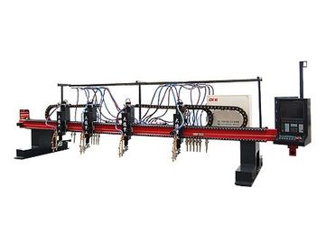 CNC van de hoge snelheids multi-Hoofd Verticale Strook Plasmasnijmachine voor Industrieel